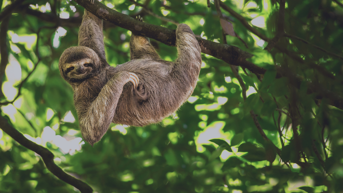 500K Context Fine-Tuning on One GPU: The Breakthrough No One’s Talking About Honestly