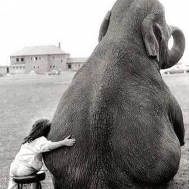 Hadoop’s Not Dead: Why Big Data’s Old Guard Still Powers Modern AI