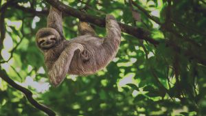 500K Context Fine-Tuning on One GPU: The Breakthrough No One’s Talking About Honestly