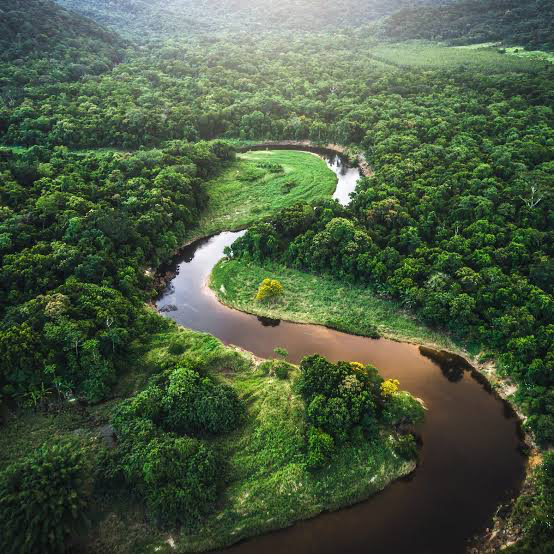Stop Rowing, Find the Damn River: A Product Manager's Guide to Strategy