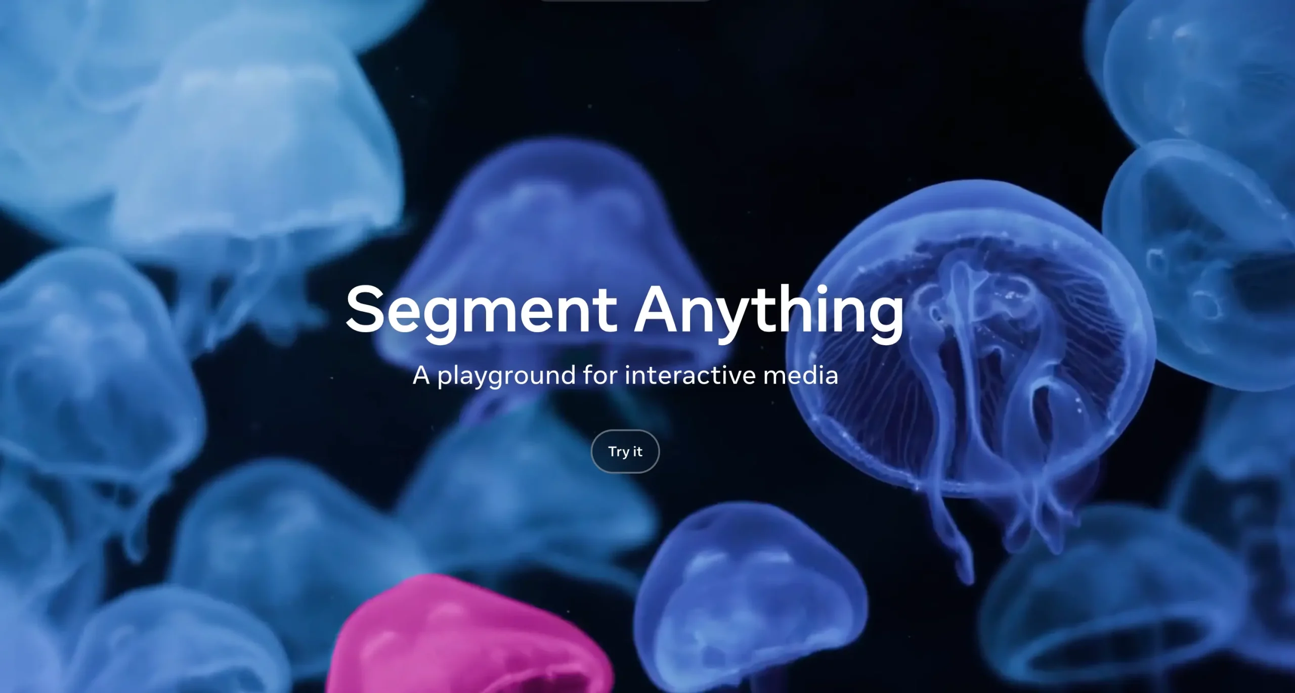 SAM 3: When ‘Segment Anything’ Actually Means Anything You Can Describe