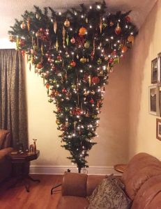 The Unkillable Giant: Why B-Trees Still Run Your Databases