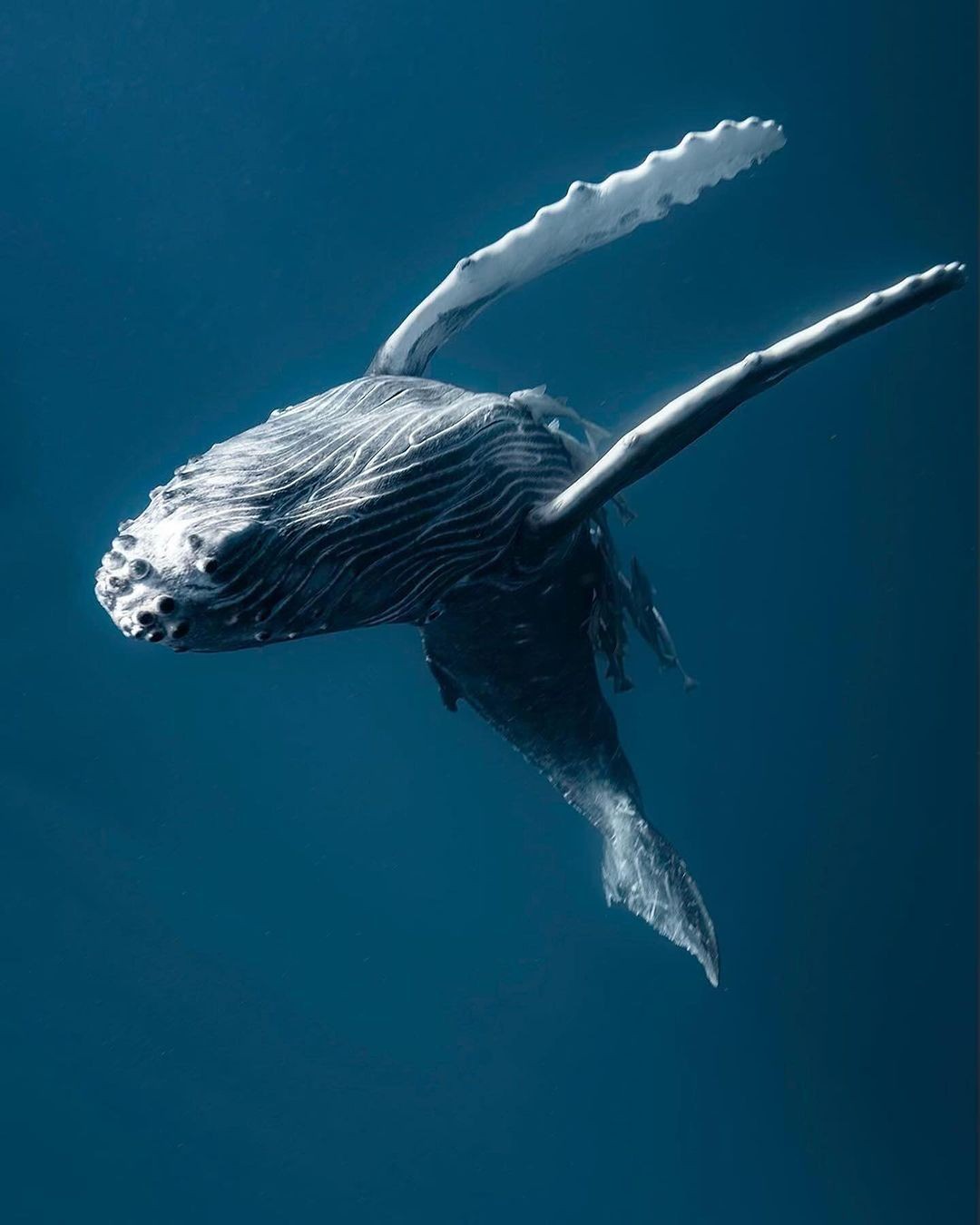 Docker Just Declared Security a Commodity, and the Industry Isn’t Ready