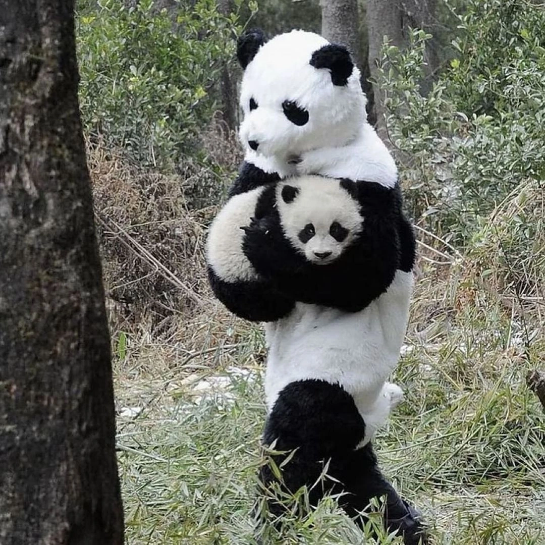 Pandas 3.0 vs. Polars: Is It Time to Jump Ship for High-Performance Data Processing?