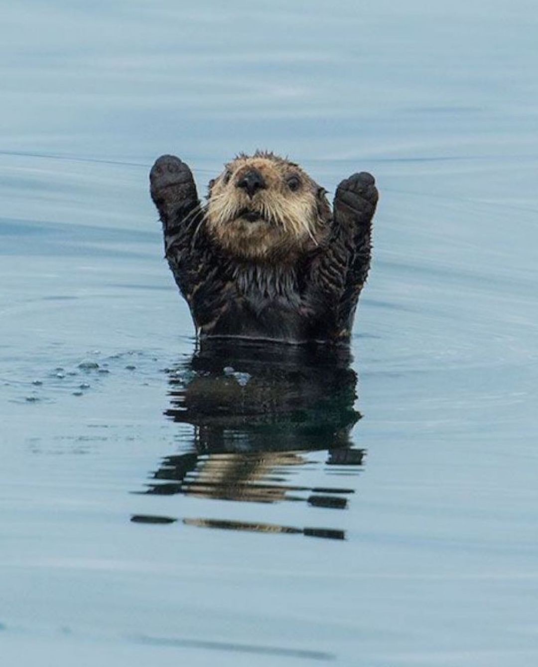 DBeaver’s Midlife Crisis: Why the Free Database Client Can’t Keep Up With Modern Data Engineering