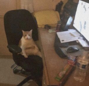 SQL-Only Data Engineering: Career Asset or Professional Dead End in 2026?