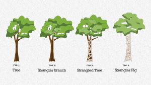 Legacy Rewrites Don’t Fail From Bad Code, They Fail From Ego