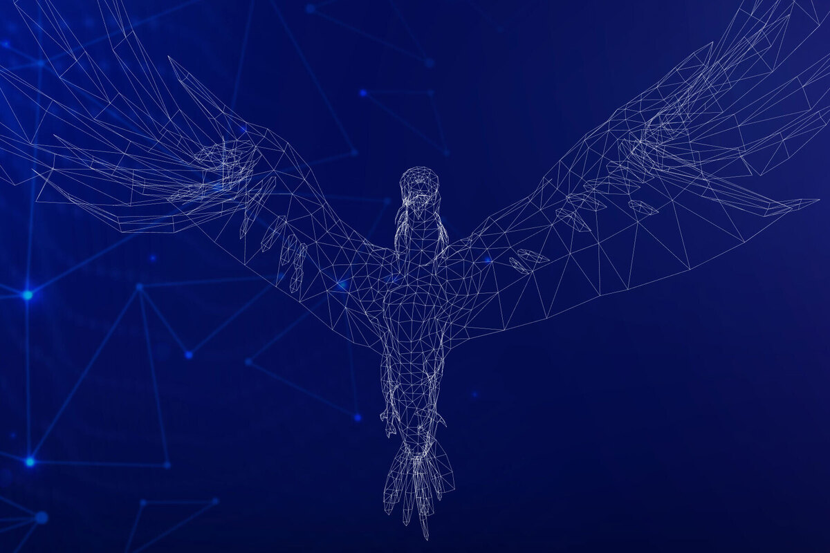 Falcon H1R 7B model architecture