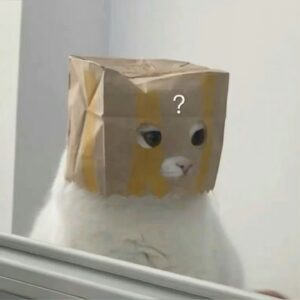 The 0.6 Billion Parameter Insult: How Distilled Qwen3 Models Are Humiliating Frontier LLMs