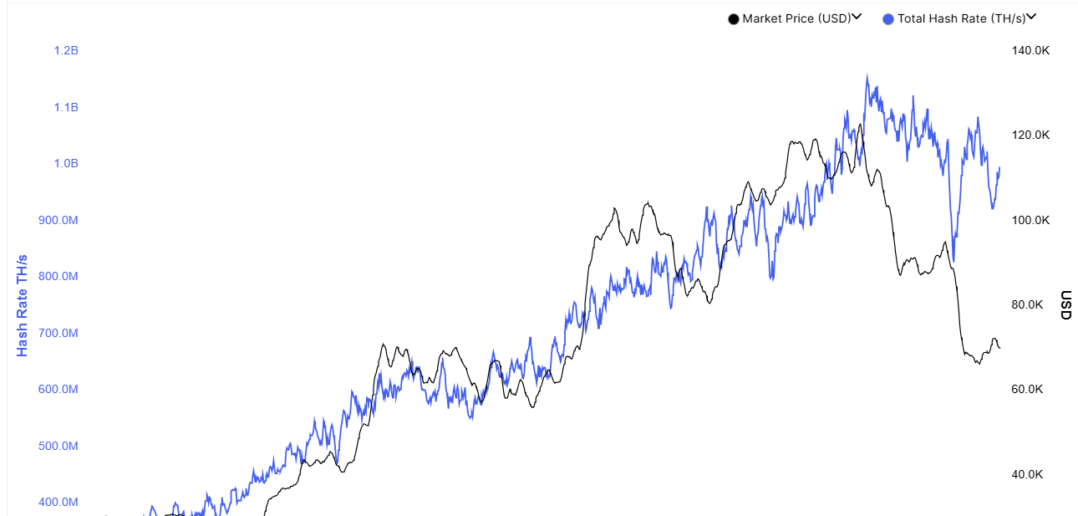 Bitcoin hashrate continued climbing even as price collapsed from $125,000 to $70,000 in late 2025