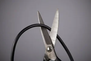 DuckLake SDK Cuts the Cord: When a DuckDB Dependency Becomes a Liability