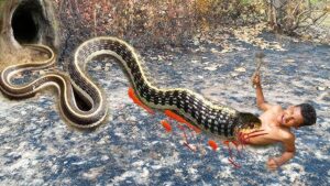The Python Trap: Why Your SQL-First Team Will Hate DLT (and Why That’s Okay)