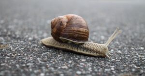 You Migrated from Spark to dbt. Your Incremental Models Got Slower. Here’s Why.