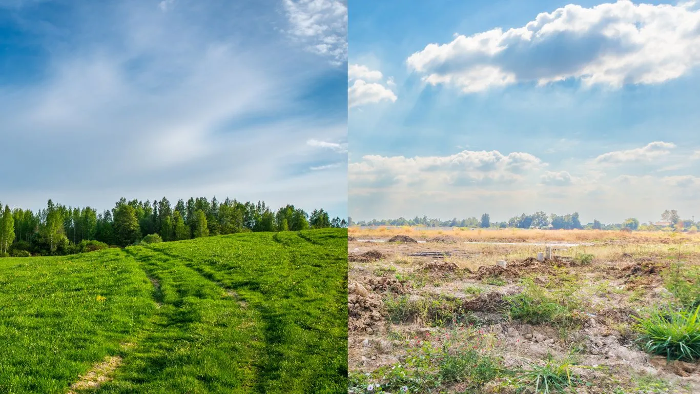 Your “Greenfield” Architecture Is Just Technical Debt You Haven’t Defined Yet