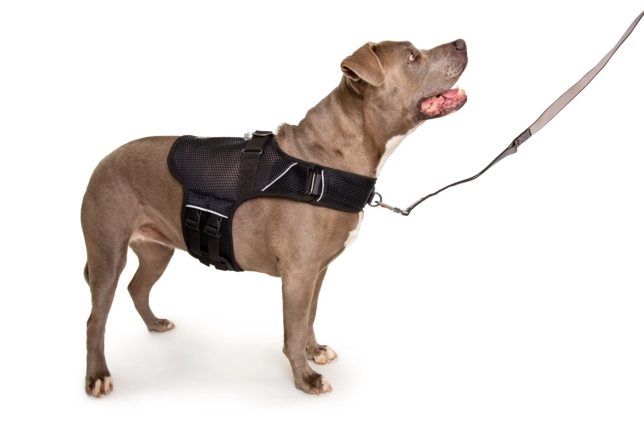 Your Local Model Isn't Dumb. Your Harness Is.
