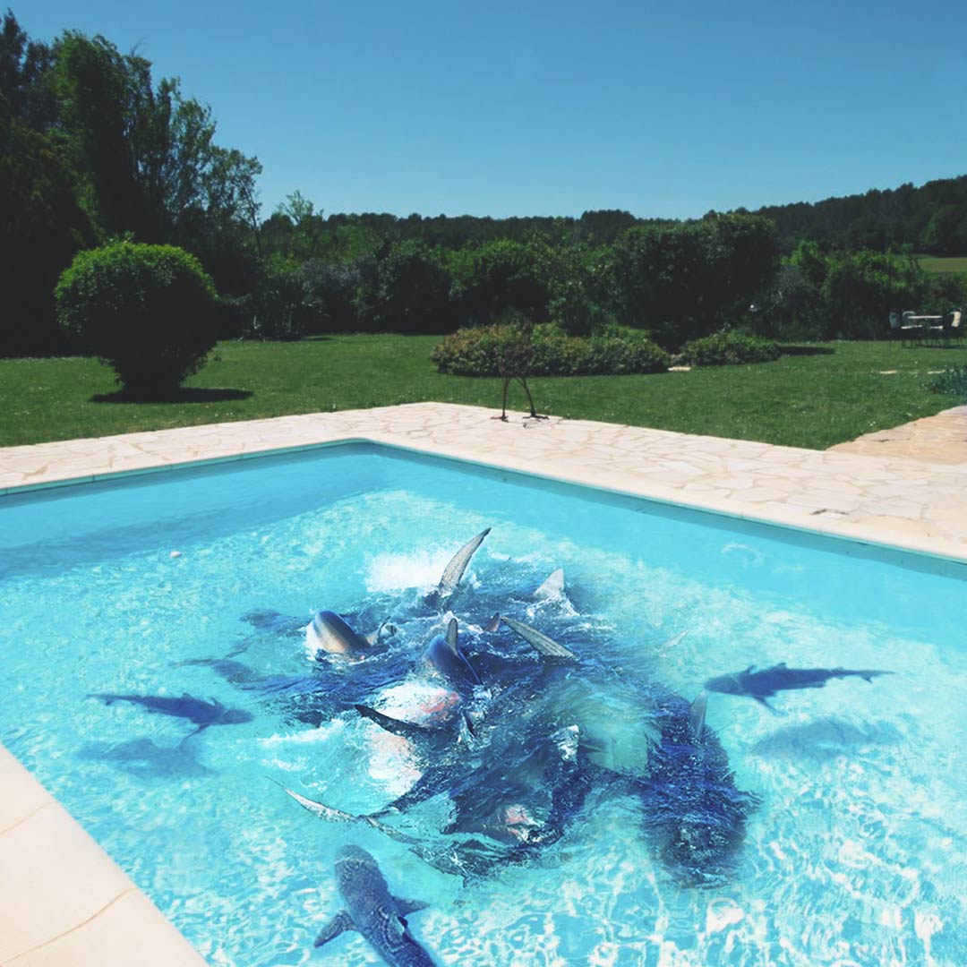 Your Database Is Fine. Your Connection Pool Is Killing You.